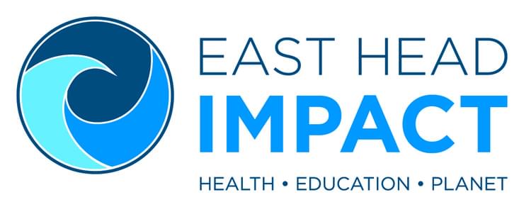 East Head Impact Logo in shades of blue