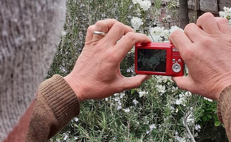 Person holding red digital camera near flowers